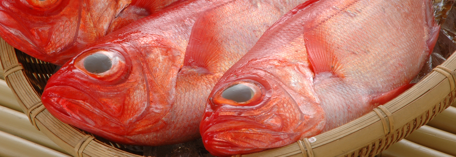 大地の彩 花月亭のご夕食一例