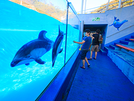 下田海中水族館