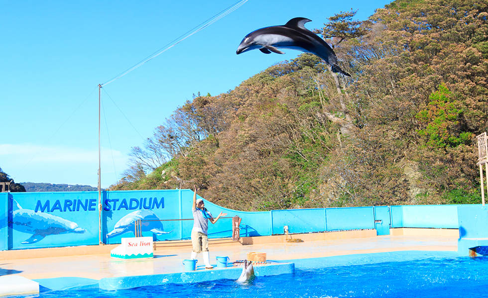 下田海中水族館