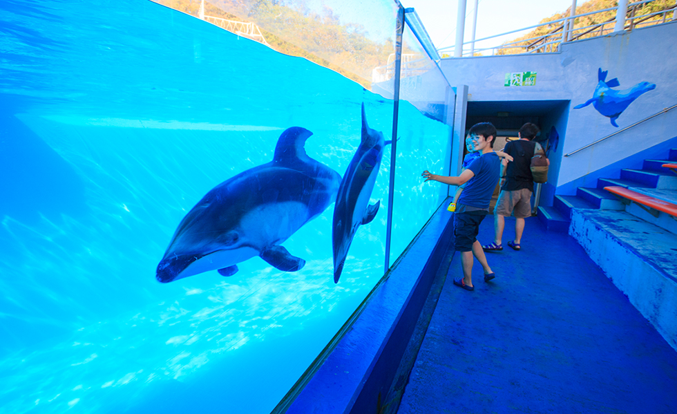 下田海中水族館