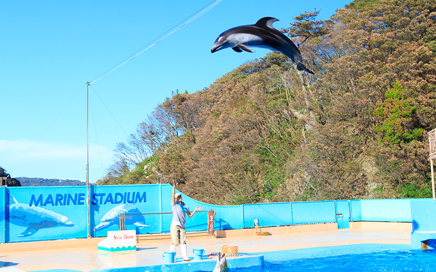 下田海中水族館